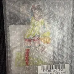 シュタインズゲート リブート 特典 小冊子 鈴羽の手紙 STEINS;GATE