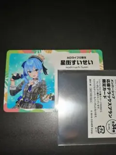 ホロライブ メンバーシップ応援デラックスプラン限定カード 星街すいせい　expo Amazon.co.jp: メンバーシップ 応援デラックスプラン限定カード