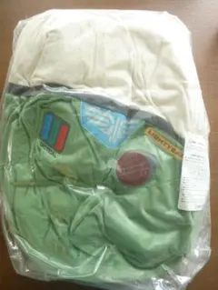 ディズニー　バズ・ライトイヤー　プレミアムモチーフ　クッション