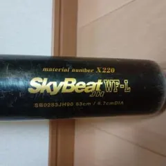 Item thumbnail for item 1620ecbd-ba5a-45de-b6b1-07426b4ba569