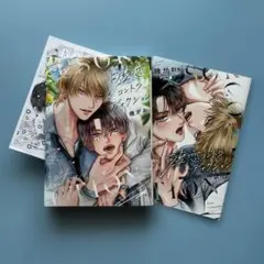 blコミック【幾がお】噓恋コントラディクション