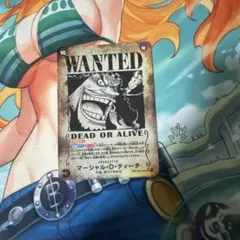 WANTED マーシャル・D・ティーチ スペシャルカード手配書