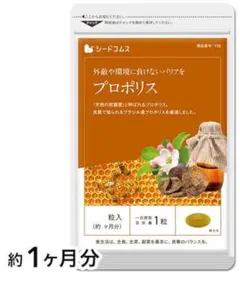 Item thumbnail for item 048f5e0d-ce17-41e9-978f-172a5884af9e