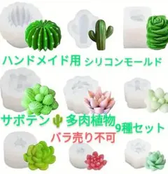 匿名配送♡ハンドメイド用シリコンモールド☆9種セット多肉植物、サボテン型