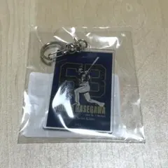 埼玉西武ライオンズ　長谷川信哉
