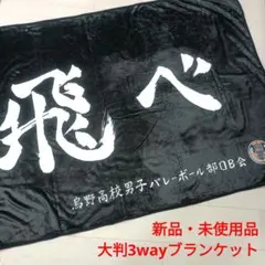 ハイキュー!! 3wayブランケット ポンチョ 烏野高校 日向翔陽 影山飛雄