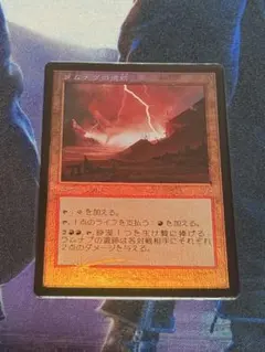 MTG　資源の浪費　韓国語　ハングル　1枚　多言語 MTG 資源の浪費 韓国語 ハングル 1枚 多言語 - メルカリ