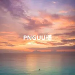 コメントご確認下さい PNGUU様 リクエスト 6点 まとめ商品