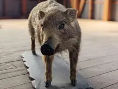 m47879001908_1.jpg?1753067112