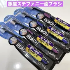 REACH 歯石除去歯ブラシ　歯垢除去歯ブラシ　レギュラー　歯ブラシ 4本セットのサムネイル