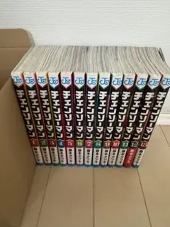 チェンソーマンおまとめセット1-13巻まで　第1部公安編(完)まで含む　美品