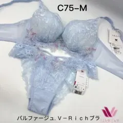 ワコール　パルファージュ. Ｖ－Ｒｉｃｈブラ　３／４カップブラC75-M