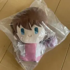 名探偵コナン　中国限定　灰原哀 おべんとう　ぬいぐるみ