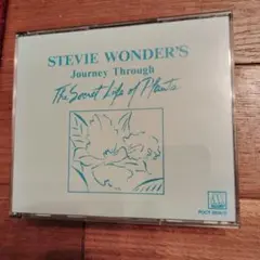 Stevie Wonder Journey Through The Secret