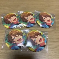 あんスタ 翠 イベコレ缶バッジ 2023SUMMER 計30点セット あんスタ 翠 イベコレ缶バッジ 2023SUMMER 計30点セット - メルカリ