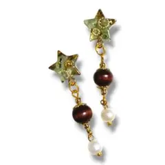 ピアス イヤリング レジン 天然石 星 揺れる