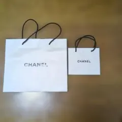 CHANEL ショップ袋 大小セット