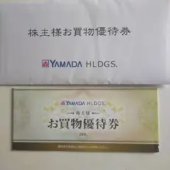 ヤマダデンキお買物優待券 10枚5000円分