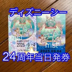 ディズニー リゾートライン フリーきっぷ 24周年 TDS 2枚セット ①