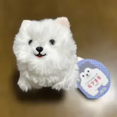 ころりんわんこのモフまる モモエ