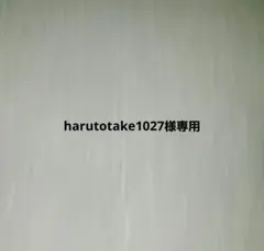 TRADESMAN トレーズマン ペインターパンツ 30×30 ナチュラル