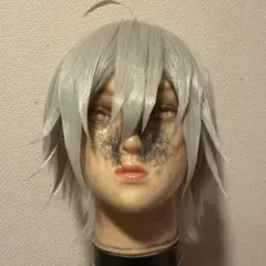 2025年最新】ツイステ シルバー ウィッグの人気アイテム - メルカリ