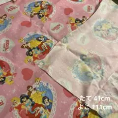 ディズニープリンセス 生地 はぎれ