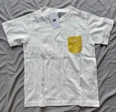 Item thumbnail for item 58ad7386-6725-4d13-adea-8946e74d3085