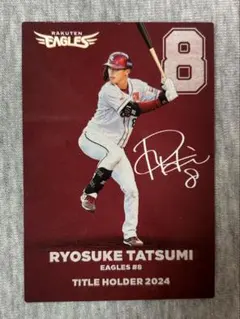 ふーみん燦様 リクエスト 2点 まとめ商品