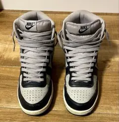 NIKE TERMINATOR HIGH Georgetown 27cm