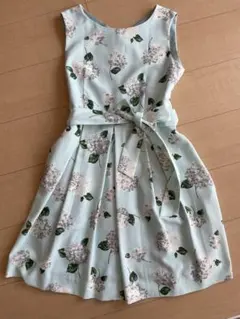 ロペピクニック　ワンピース