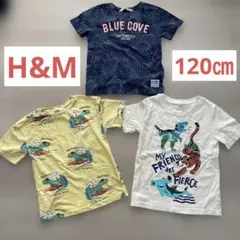 H&M 半袖 Tシャツ まとめ売り 120㎝ 恐竜 スパンコール