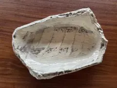 2026年最新】川淵直樹の人気アイテム - メルカリ