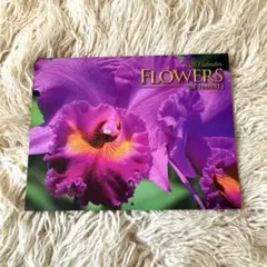 ハワイ　カレンダー 2026年 ハワイフラワーカレンダー　2026