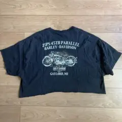 ハーレーダビッドソン　Tシャツ　アメリカ古着