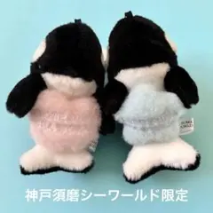 須磨シーワールド まんぷくシャチ 満腹シャチ ぬいぐるみ - メルカリ
