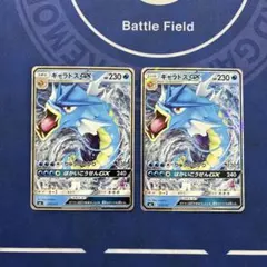 ギャラドスGX SML サン＆ムーン ファミリーポケモンカードゲーム 015