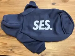 SESSION DOG HOODIE