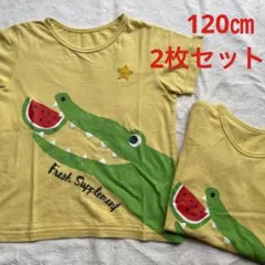 ベルメゾン　ワニ　Tシャツ