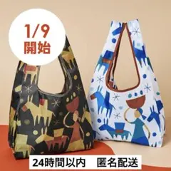 【新品未使用】 KALDI 2026折り畳みエコバッグ 2点セット