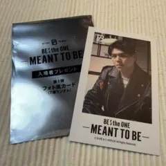 BE THE ONE MEANT TO BE フォト風カード LEO