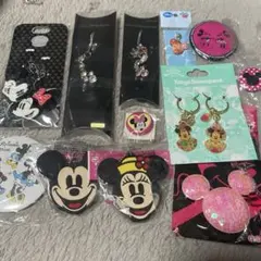 ミニー ミッキー ペアストラップ アクリルキーホルダー ディズニー リゾート