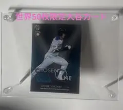 大谷翔平 2024年 ワールドシリーズ制覇ロゴ入り 直筆サインボール