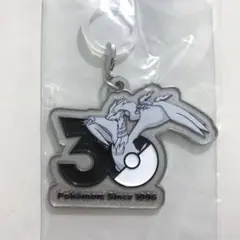 匿名配送 ポケモン メタルチャーム レシラム