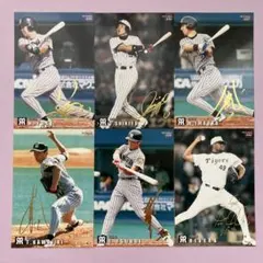 カルビー野球カード2026 阪神タイガース - メルカリ