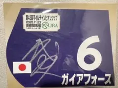 2026年最新】サイン入り ゼッケンの人気アイテム - メルカリ