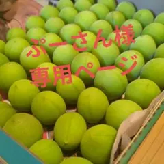 ぷーさん様　専用ページです(⁠^⁠^⁠)