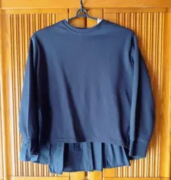 Item thumbnail for item 79f0a3ce-41bf-43d6-bf4d-4ed48876148f