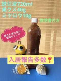 Item thumbnail for item ac57d5cc-5181-4b63-8a38-44f3d0643ef8