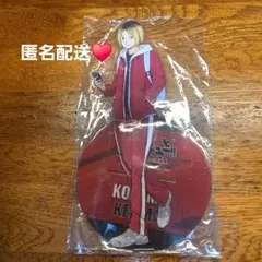 ハイキュー 孤爪研磨 BIGアクリルスタンド